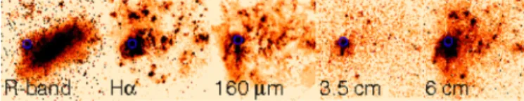 Fig. 7. Mosaic of the images of the Large Magellanic Cloud (Gaustad et al. 2001; Meixner et al