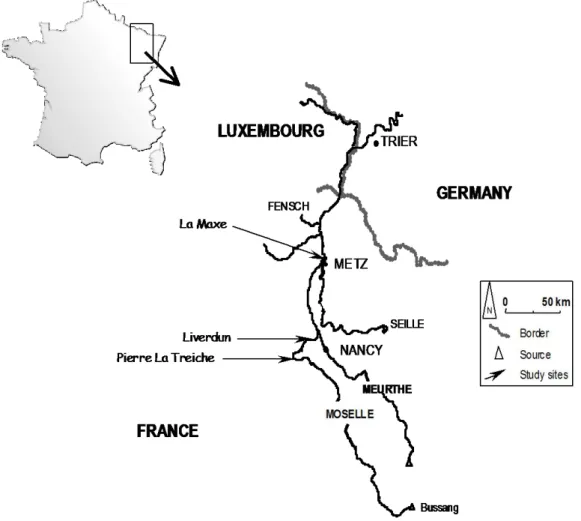 Figure 1: Location of the study sites in the Moselle River. 