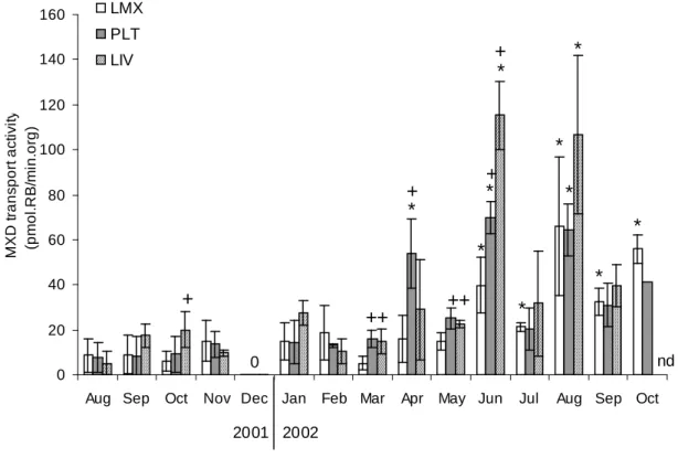 Figure 2: MXD transport activity (pmol.RB/min/org) in zebra mussels transplanted in LMX,  PLT and LIV between August 2001 and October 2002