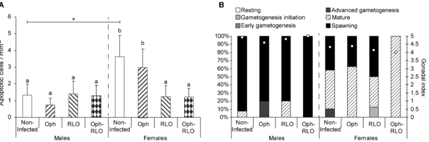 Figure 1. Density of apoptotic cells in zebra mussels infected or not by microparasites and their gonadal development stage