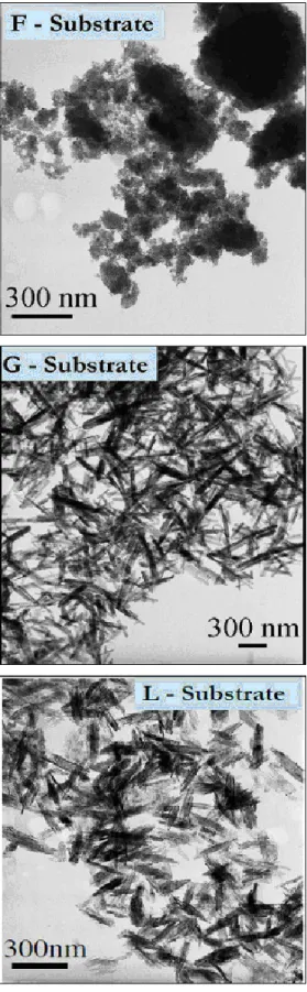 Figure S1: Bright field TEM images showing initial ferric oxyhydroxides (F-ferrihydrite, L-L-462 