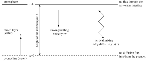 Fig. 2. Sinking-di ff usion model: illustration of its geometry, parameters and boundary condi- condi-tions