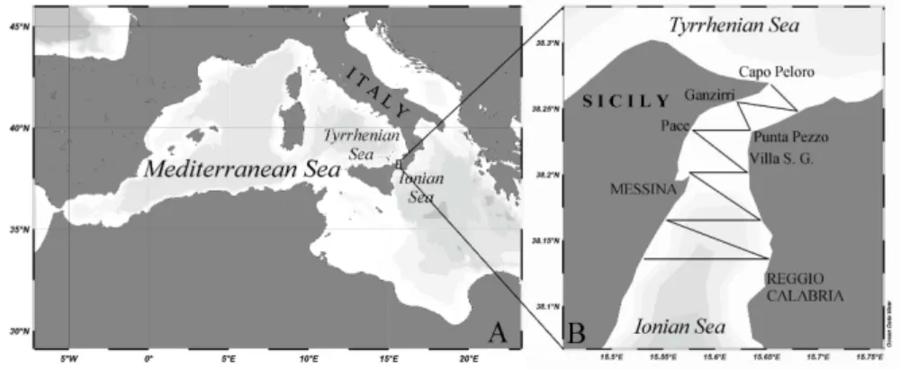 Fig. 1. Geographical location of the Straits of Messina (A) and automatic surface tracking (B).