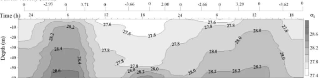 Fig. 3. 48-h behaviour of density at sill station surveyed with a frequency of 1-h at syzygy (December 1993)