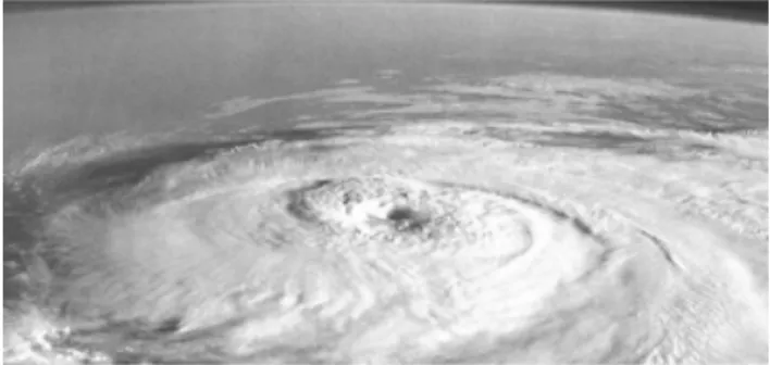 Fig. 1. Cyclone.
