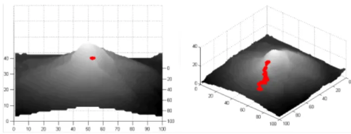 Fig. 6. Application of the 3-D labyrinth experiment using the real topography of Etna volcano