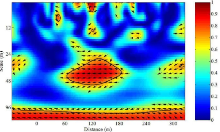 Fig. 11. Local wavelet coherency between δ 15 N in soil and the ele- ele-vation of the Elstow transect
