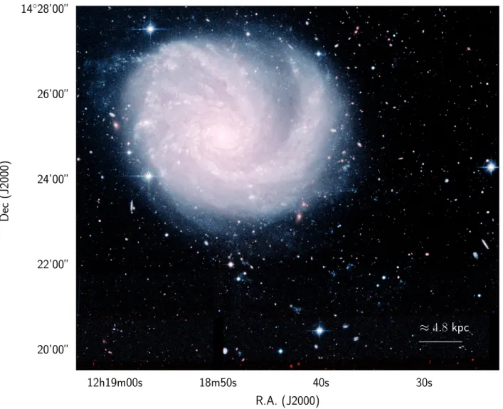 Fig. 1. Colour ugi RGB image of the galaxy NGC 4254 obtained using the NGVS data (Ferrarese et al