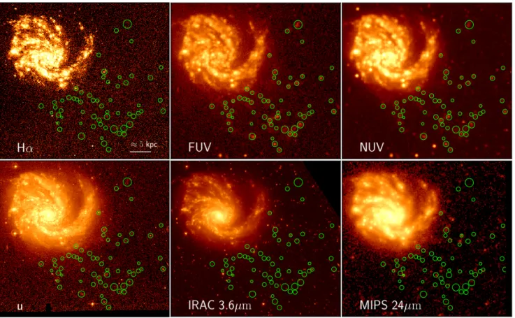 Fig. 2. Multifrequency images of the galaxy NGC 4254 (north is up, east is left). Upper panels, from left to right: continuum-subtracted Hα (VESTIGE), FUV (GALEX), NUV (GALEX); lower panels: u-band (NGVS), IRAC 3.6 µm (Spitzer), MIPS 24 µm (Spitzer)