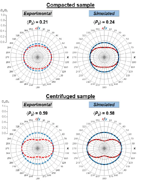 Fig. 6. Water diffusion tensors determined from PGSE-NMR experiments (left) and Brownian dynamics  465 