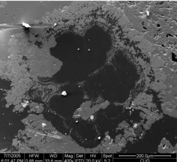 Figure 1. Microscope image of a sphalerite ore sample collected from Jinding lead 