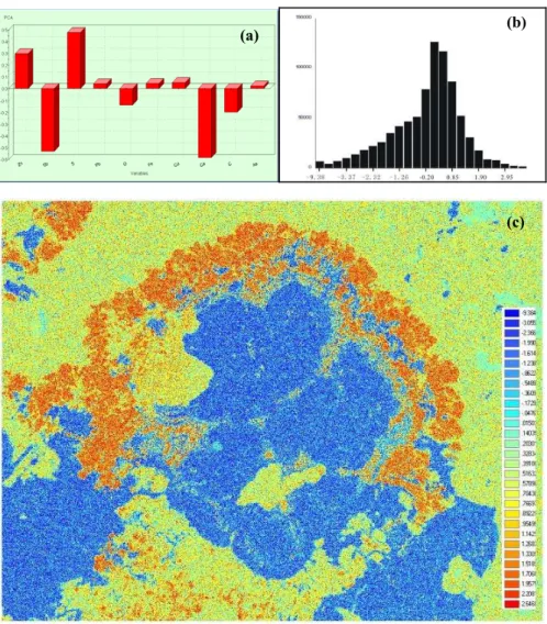 Fig. 2. Results obtained using principal component analysis (PCA) applied to ESEM images of elements Zn, Sb, S, Pb, O, Fe, Cu, Ca, C and As scanned using ESEM facility provides by the State Key Laboratory of Geological Processes and Mineral Resources, Chin
