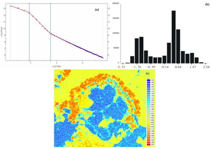 Figure 4. Results obtained using S-A filtering method (see text for details). (A) Plot 