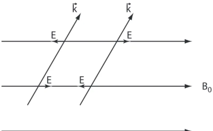 Fig. 11. Two obliquely propagating electromagnetic proton cy- cy-clotron waves and their parallel (to B 0 ) component electric fields.