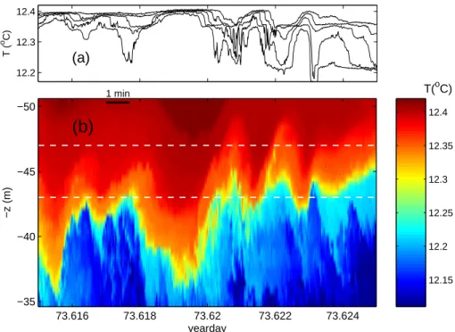 Fig. 9. Example of detailed NIOZ2 observation of very high-frequency internal “wave”. (a) Tem- Tem-perature contours from 5 sensors at 1 m intervals between the white dashed lines in (b)