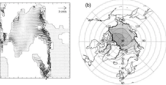 Fig. 3. Annual mean ice velocities (a) and March ice thicknesses (b) from the control run averaged over the period 1979–1999