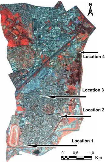 Figure 2: IKONOS imagery from the test site, 