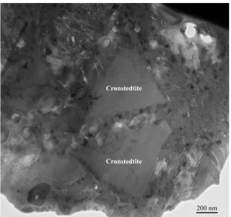 Figure 1. TEM image of some euhedral cronstedtite crystals found in the Paris meteorite