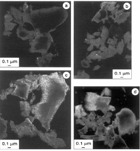 Fig. 4. Transmission electron microscopic images in 002 dark field mode of cokes obtained after pyrolysis at  1000 °C of solid residues resulting from different pyrolyses: (a,b) open system pyrolysis (high heating rate) of  WJVlow at 500 °C (a) and UCV at 