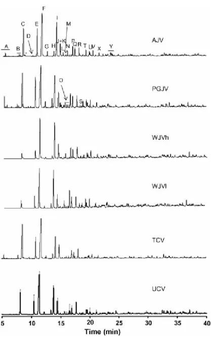 Fig. 3. Gas chromatograms of oils generated by means of the Gray-King pyrolysis of perhydrous vitrinites