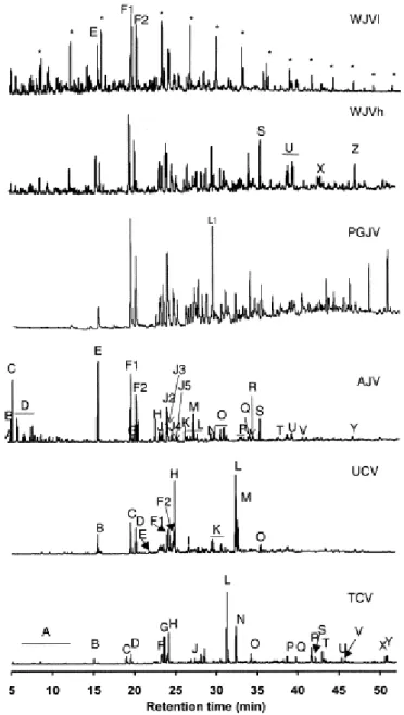 Fig. 5. Gas chromatograms of the soluble organic fraction of perhydrous coals (see Table 4 for peak  identification, * n-alkanes)
