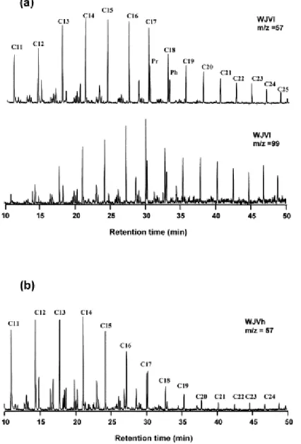 Fig. 7. (a) m/z 57 and m/z 99 mass fragmentograms showing the alkane distribution for the WJVl extract