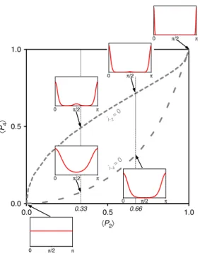 Fig. 3 The 〈P 4 〉−〈P 2 〉 order parameters interrelations based on maximum- maximum-entropy theory