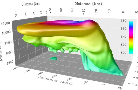 Fig. 3. Three-dimensional representation of the aerosol plume after 40 min simulation time.
