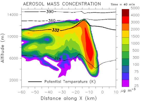 Fig. 4. Aerosol mass concentration along the y =− 5 km vertical cross section. Contour lines indicate potential temperature levels
