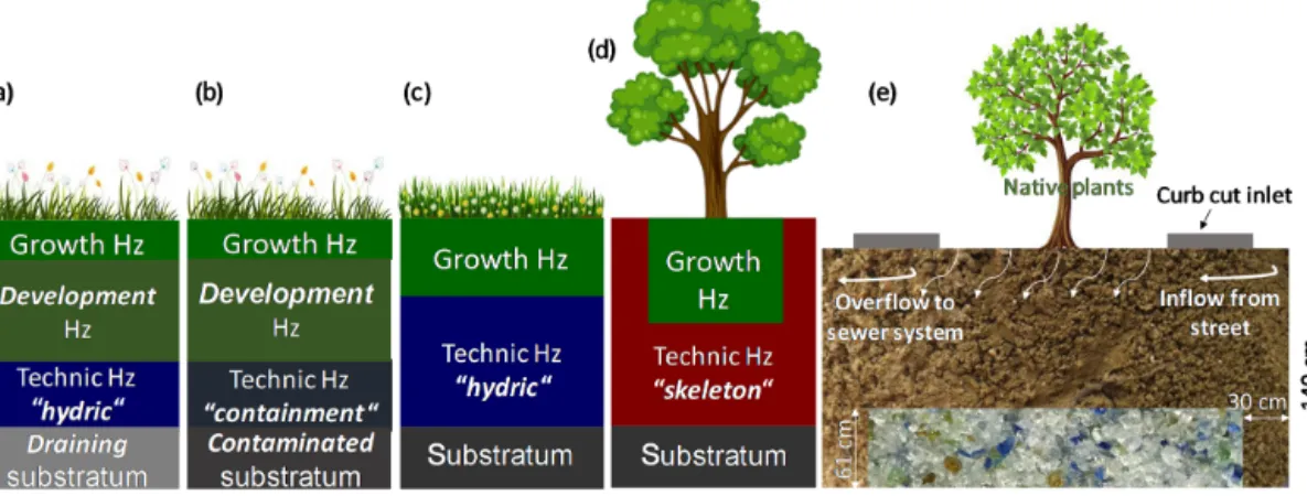 Figure 3. Examples of the organization of horizons in constructed Technosols noted in the literature for (a–b) extensive grassland (Biotech- (Biotech-nosol project), (c) parks and square lawns, (d) tree-lined streets (c and d from the SITERRE project), and