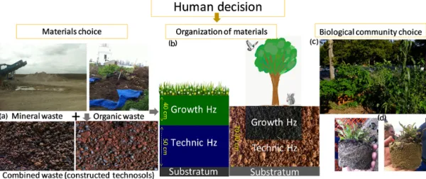 Figure 1. Diagram presents abiotic and biotic components of constructed Technosols. (a) Example of waste mixture during Maha Deeb’s Master’s thesis