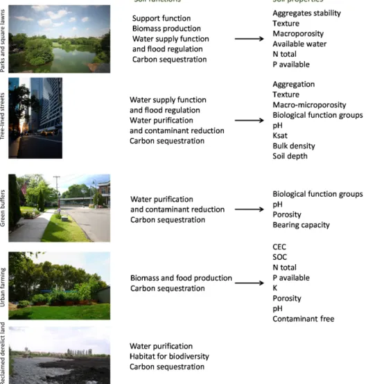 Figure 2. Soil properties to be considered for fulfilling soil functions provided by constructed Technosols in different land uses.