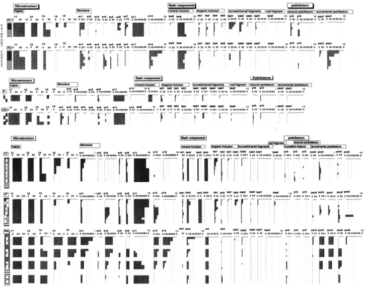 Figure 4: Micromorphological results of semi-quantitative counting of the Paimpont forest, the Zonien forest and the Ecomusée de Haute  Alsace sites.