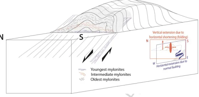 Fig.  10.  Block  diagram  showing  the  geometrical  evolution  of  a  mylonitic  belt  that  is  undergoing  shortening  by  folding  contemporaneous  to  extension  by  normal  shearing