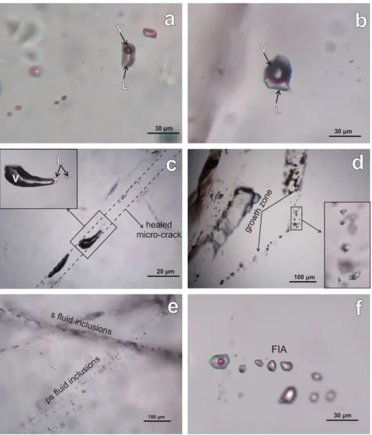 Figure 6. Photomicrographs of fluid inclusion populations from the studied amethysts under plane polarized  light
