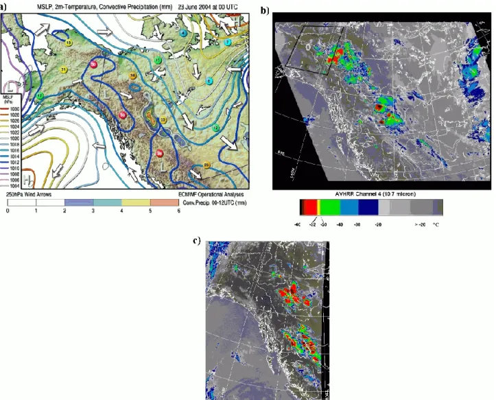 Fig. 4. (a) ECMWF analyses of mean sea level pressure (colored contour lines), 2-m temperatures at selected locations (colored buttons) and 250 hPa winds (arrows) for 23 June at 00:00 UTC, plotted over a topography map of Alaska and western Canada