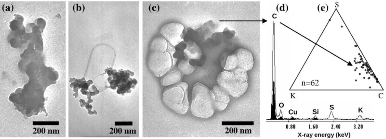 Fig. 8. TEM images of (a) mixed soot/sulphate-containing particle, (b–c) mixed soot/sulphate-containing particles after intentional strong beam exposure, (d) X-ray spectrum for the soot/sulphate-containing particle (background spectrum from TEM grid substr