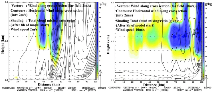 Fig. 8. A close look at the situation upstream of mountain ridge. (A part of the ridge is visible on the bottom right corner.) For slow velocities, topography causes wind blocking