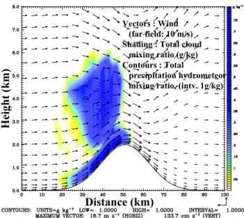 Fig. 4. Development of clouds (200 min after start) and the cor- cor-responding rainfall
