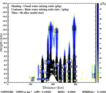 Fig. 7. Clouds and rainfall generated by convection triggered by mountain flow. (Case U-a after 4 h of model start.)
