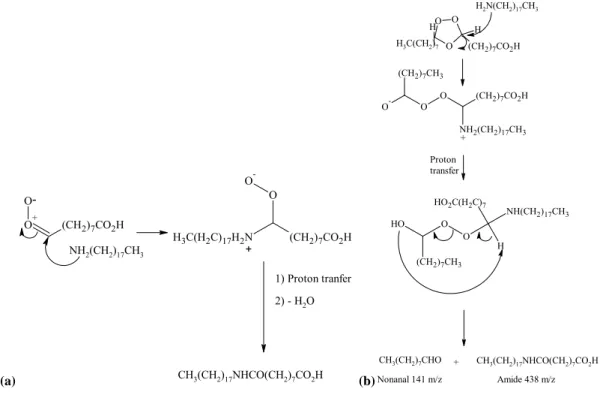 Fig. 5. Proposed mechanisms for observed amide formation via reactions of amines with products of ozonolysis of OL
