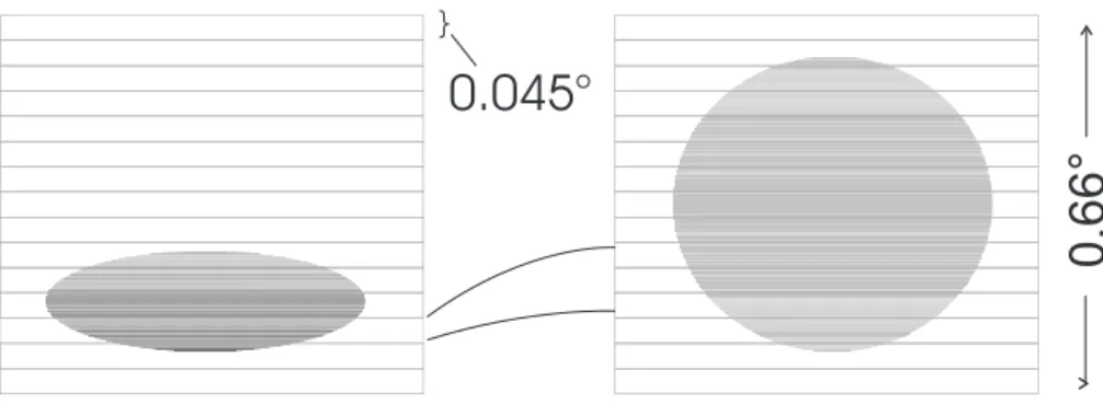 Fig. 1. Occultation scan image. SCIAMACHY’s fields of view are plotted onto the solar disk for a complete scan