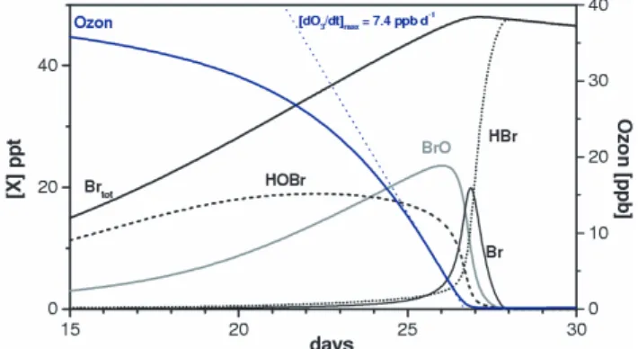 Fig. 6. Model results of ozone time series in the top box (100 m–