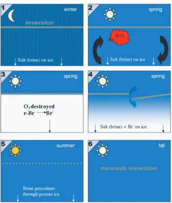 Fig. 9. Seasonal changes of the factors influencing bromine explo- explo-sions and ozone depletion events