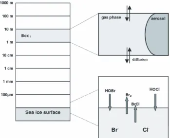 Fig. 2. Vertical structure of the model as used for the model calcu- calcu-lations.