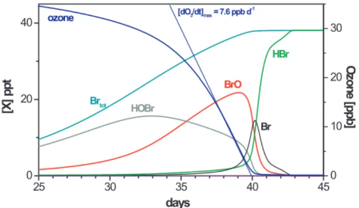 Fig. 4. Vertical concentration profiles for ozone and bromine species, according to simulation model basic run.