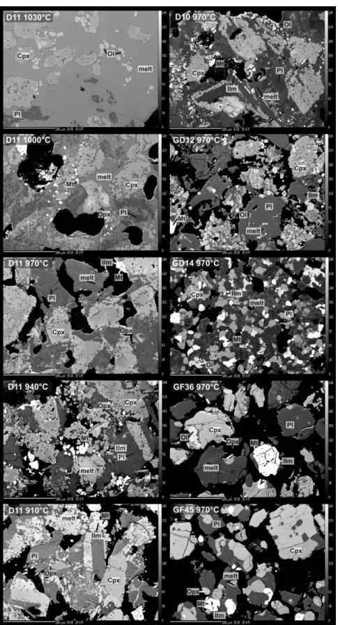 Fig.  2  Backscattered  electron  images  of  selected  experimental  results  under  water-saturated  conditions