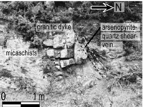 Figure 4 Granitic dyke in micaschist with arsenopyrite-quartz shear vein. 
