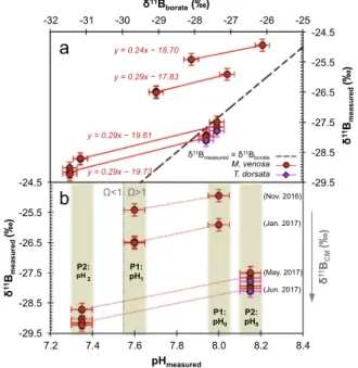 Fig. 2. Mini-bulk d 11 B (without normalisation) of shell parts grown under experimental conditions plotted in a: