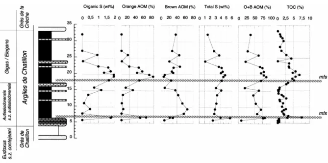 Fig. 5. Stratigraphic variation in the abundance of total and organic sulphur compared to the percentages of  orange AOM, brown AOM, orange+brown AOM and also TOC